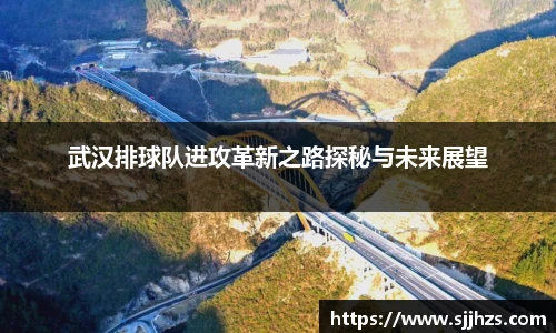 武汉排球队进攻革新之路探秘与未来展望